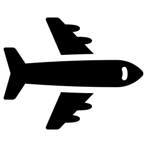 Fly-ins icon.